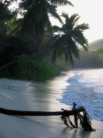 /album/fotogaleria-seychely-zajazd-vy-a-my/seychely-zajazd-101-jpg/